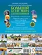 Большой атлас мира для школьников - фото 2