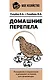 Домашние перепела. Разведение и содержание в домашних условиях для начинающих - фото 1