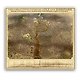 The Compleat Ankh-Morpork City Guide - фото 3