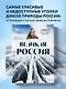 Великая Россия: альбом дикой природы от Белого моря до Камчатки - фото 4