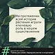 Тайны растений. Народная магия и исцеление - фото 5
