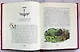 Принц Каспиан (цв. ил. П. Бэйнс) - фото 6