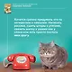 Кошичкин тилипон. Правдиви истори о котиках и их никчемни. Экспресс-помощь для тех, кто застрял в рутине и ищет вдохновение - фото 11