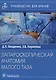 Лапароскопическая анатомия малого таза: руководство для врачей - фото 1