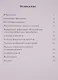 Откровение образа. Творческий поиск и осмысление иконописного Предания - фото 2