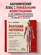 Анатомия человека. Компактный атлас. Опорно-двигательный аппарат - фото 4