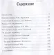 Слово о полку Игореве. Избранные переводы - фото 6