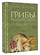 Грибы русского леса. Иллюстрированный определитель - фото 3