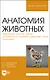 Анатомия животных. Неврология. Органы чувств. Особенности строения домашней птицы. Практикум. Учебное пособие для вузов - фото 1