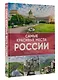 Самые красивые места России. Большой путеводитель по городам и времени - фото 3