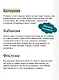 Гроза. Вечные истории - фото 7