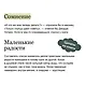 Книжный в сердце Парижа - фото 7
