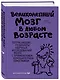 Великолепный мозг в любом возрасте - фото 3