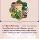Растения любви: подарок внутри (+наклейки) - фото 9