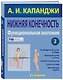 Нижняя конечность : Функциональная анатомия - фото 3