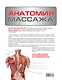 Анатомия массажа - фото 2