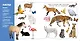Формы и цвета. Фотокнига - фото 5