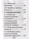 Русский язык. Подготовка к ЕГЭ. Литературные аргументы к сочинению - фото 7