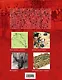 Пекин 1900 год. Китай против Европы, Америки и Японии - фото 2