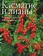 Клематис и лианы - фото 1