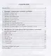 Готовимся к олимпиаде по русскому языку. Практическое пособие - фото 2
