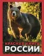 Красная книга России. 3-е издание - фото 1