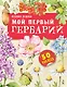 Мой первый гербарий - фото 1