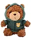 Мягкая игрушка Мишка (25см) (в зеленом худи) (коричневый) (12-202602-MSH10/1) - фото 1