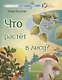 Что растёт в лесу? Стихи для детей - фото 1