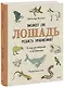 Может ли лошадь решать уравнения? И ещё 320 вопросов о животных - фото 1
