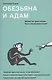 Обезьяна и Адам. Может ли христианин быть эволюционистом? - фото 1