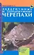 Аквариумные и террариумные черепахи. Обзор видов. - фото 2