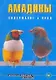 Амадины. Содержание и уход (цвет) - фото 1