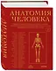 Анатомия человека. Эксклюзивное издание с 50-летней историей. Том 1 - фото 3
