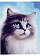 Холст с красками по номерам "Голубоглазый котик", 30 х 40 см - фото 1