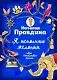 Я исполняю желания - фото 1
