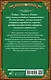Попаданка с характером, или Жемчужина для дракона - фото 2