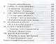 Вызываем огонь на себя. Лебединая песня - фото 4