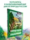 Природа России. Иллюстрированная энциклопедия - фото 3