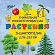 Растения - фото 1