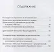 Драгоценный светильник. Хвала бодхичитте - фото 2