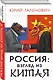 Россия: взгляд из Китая - фото 3