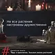 Яды и проклятия. Теневая жизнь растений - фото 6