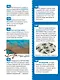 Планета Земля. Энциклопедия российского школьника - фото 7