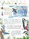 Энциклопедия для мальчиков и девочек. Наша природа - фото 5