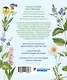 Акварельный лес. Ботанический дневник для любителей природы и акварели - фото 2