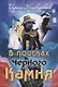 В поисках Черного Камня - фото 1