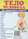 Демонстрационные картинки СУПЕР Тело человека.16 раздаточных карточек с текстом (63х87 мм) - фото 1