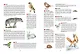 Времена года. Иллюстрированная энциклопедия - фото 4