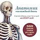 Анатомия на каждый день. 365 латинских терминов для студента-медика. Календарь настенный на 2027 год (300х300 мм) - фото 1